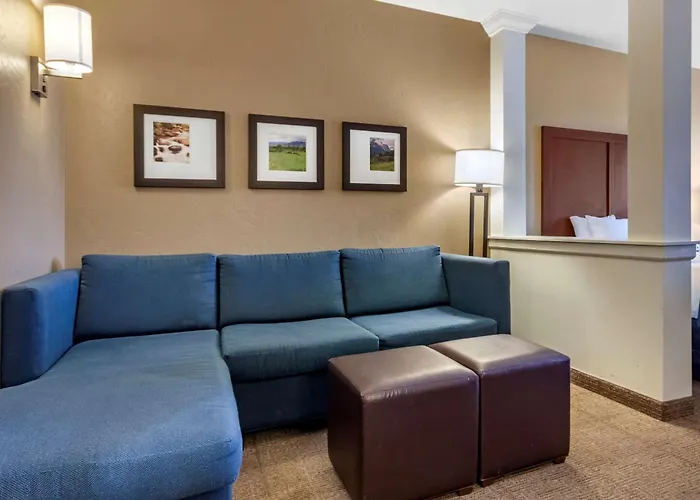 Comfort Suites Airport-University