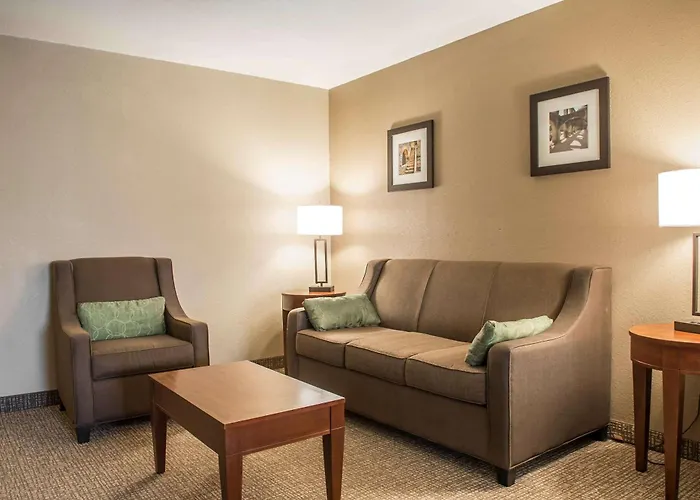 Comfort Inn Edinburg South