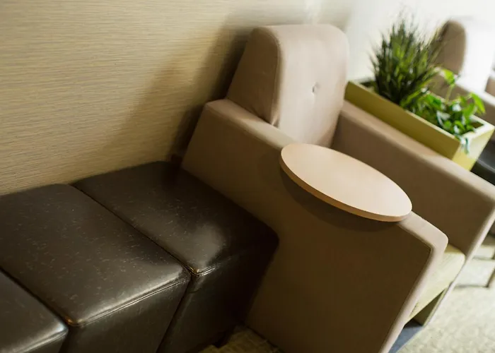 Bellevue Hotels
