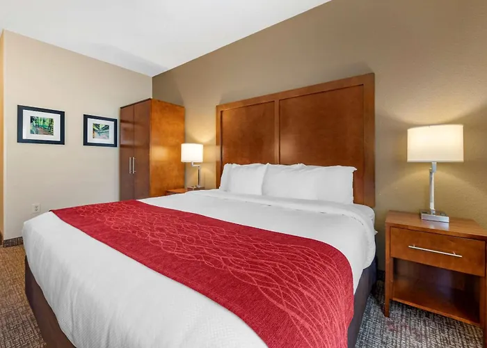 Comfort Inn La Porte