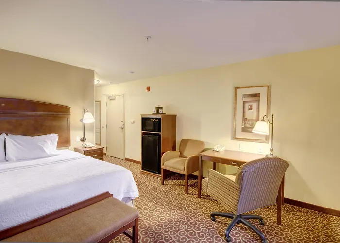 Alexandria Hotels