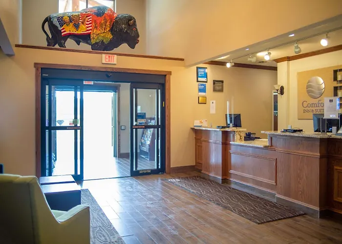 Comfort Inn & Suites Custer