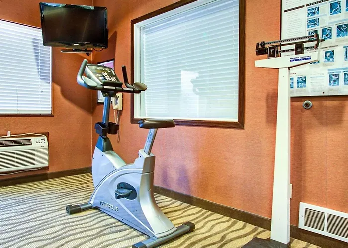 Florence Hotels