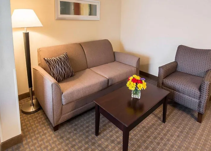 Comfort Suites University Area Notre Dame-South Bend
