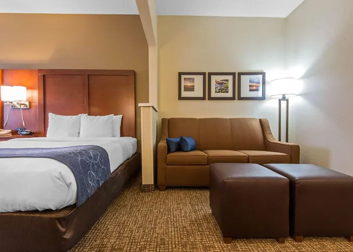 Comfort Suites Rochester Henrietta University Area