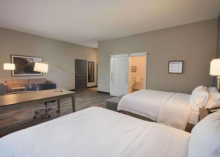 Hampton Inn And Suites At Wisconsin Dells Lake Delton