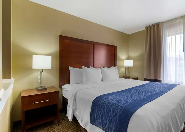 Comfort Inn & Suites Mandan - Bismarck