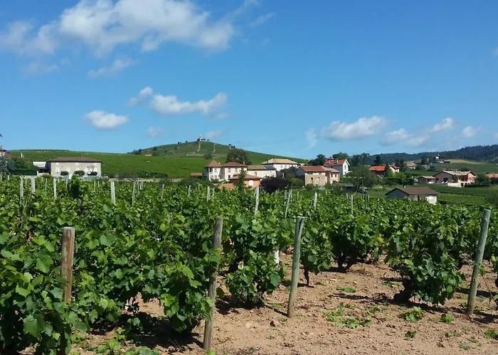 Hôtels à Fleurie