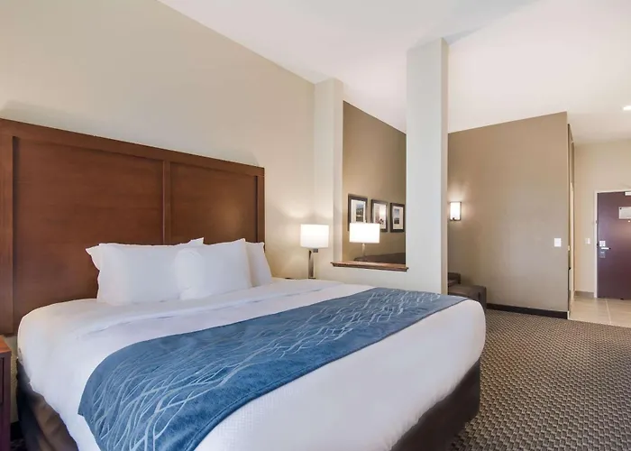 Comfort Inn & Suites Rock Hill Northeast