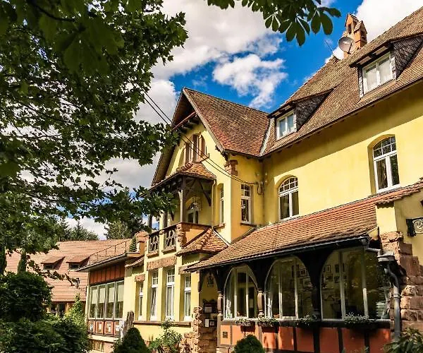Hotel Dammenmuehle Lahr 