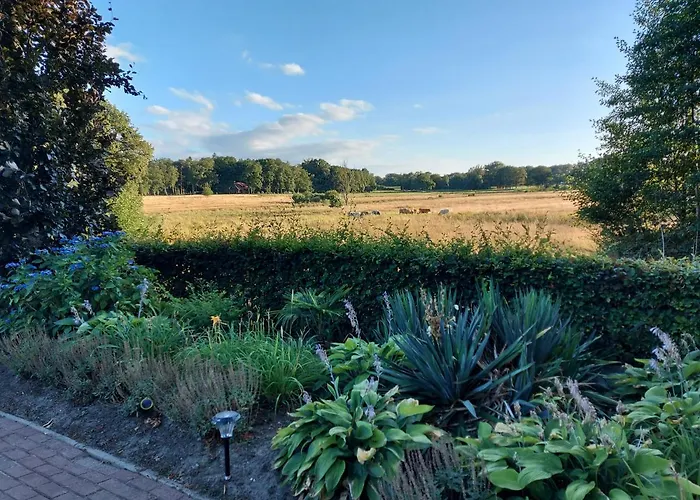 B&B De Oale Snieder Enschede