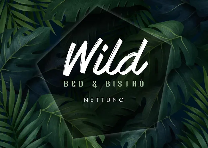 Bed and Breakfast Wild Bed & Bistro Nettuno