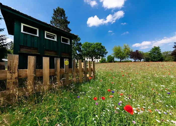 Hotels in Schönheide