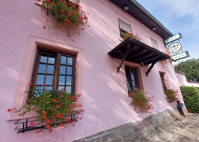 Auberge De La Foret - Logis