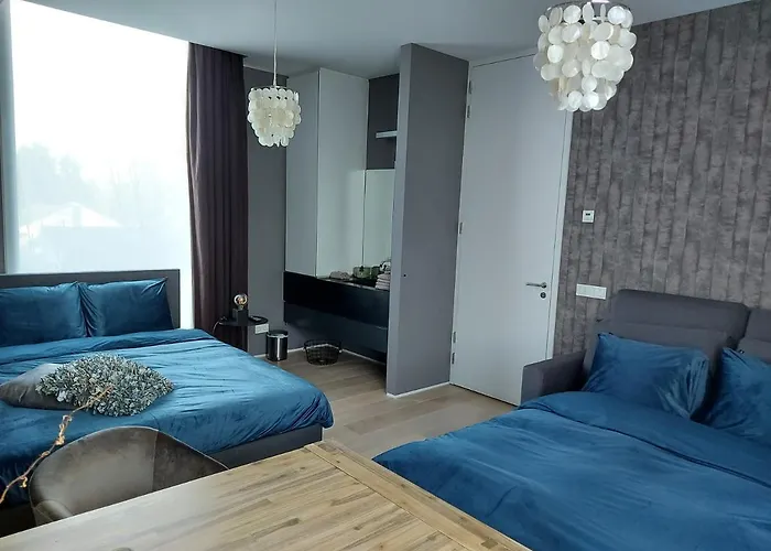 Bed&Wellness Boxtel, luxe kamer met airco en eigen badkamer