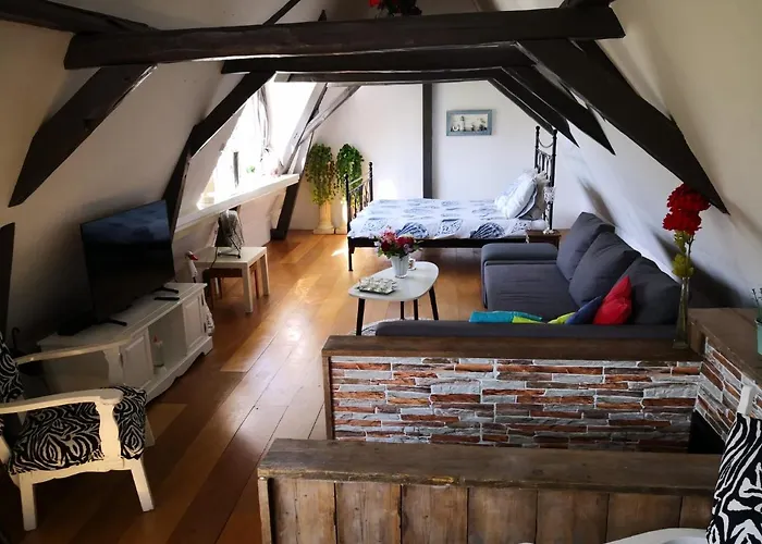 WitteZwaan Bed and Breakfast Harlingen
