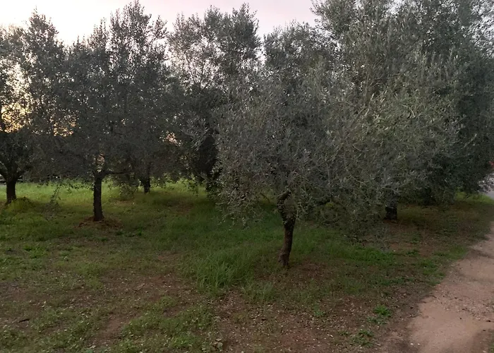 Casa nel verde Orbetello Albinia