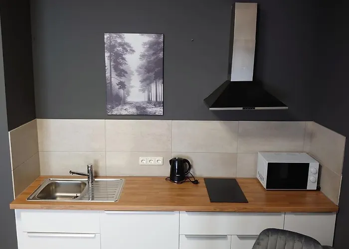 Maxim Apartments Mainz