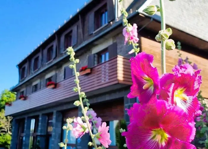 Besse-et-Saint-Anastaise Hotels