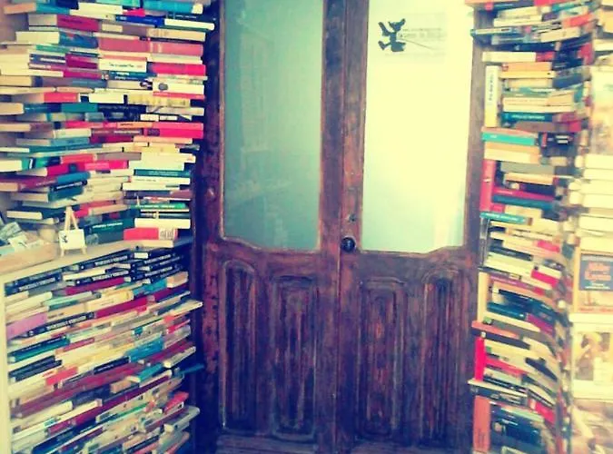 Ratones de Biblioteca