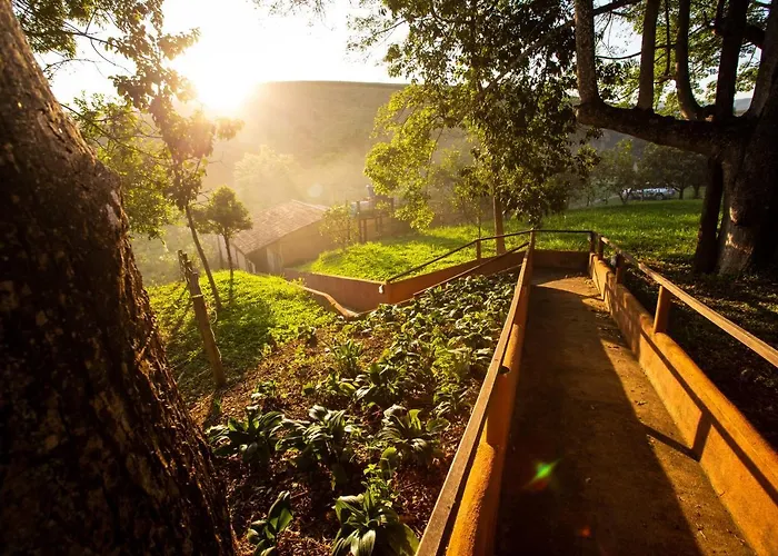 Garça Branca - Restaurante e Pousada Rural São Roque de Minas
