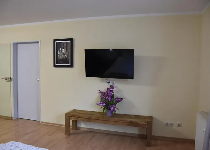 Zentrale Hotels in Plauen