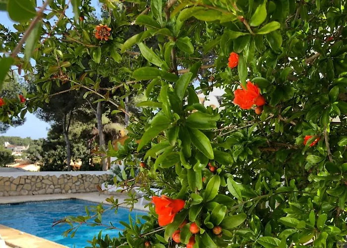 Casa Olivia