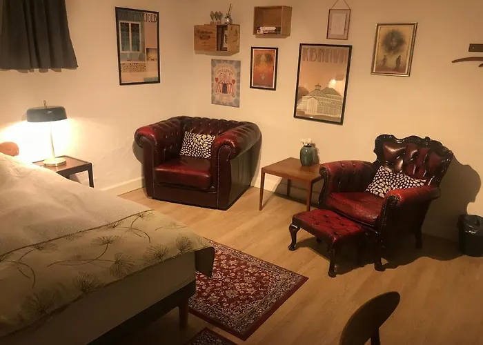 Comfortable Large Room King S Bed Near Cph Centre Copenhague