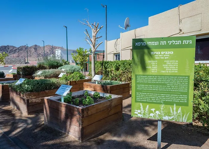 Hotéis em Eilat