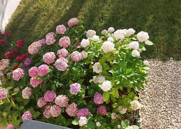 La Casa di Francesca B&B Porto Cesareo