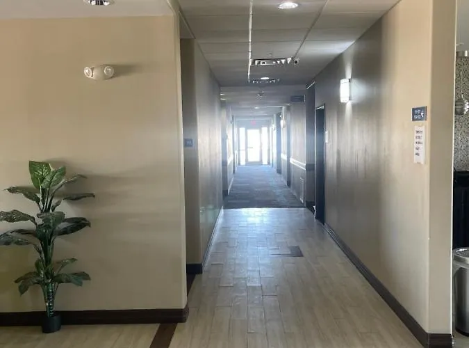Freer Hotels