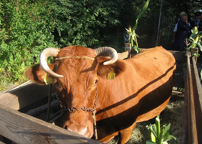 Spreewald Pension Am Spreeschlößchen Lübbenau