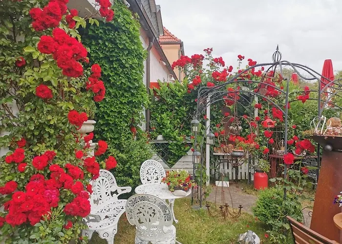 cafesahne u Pension Dranske