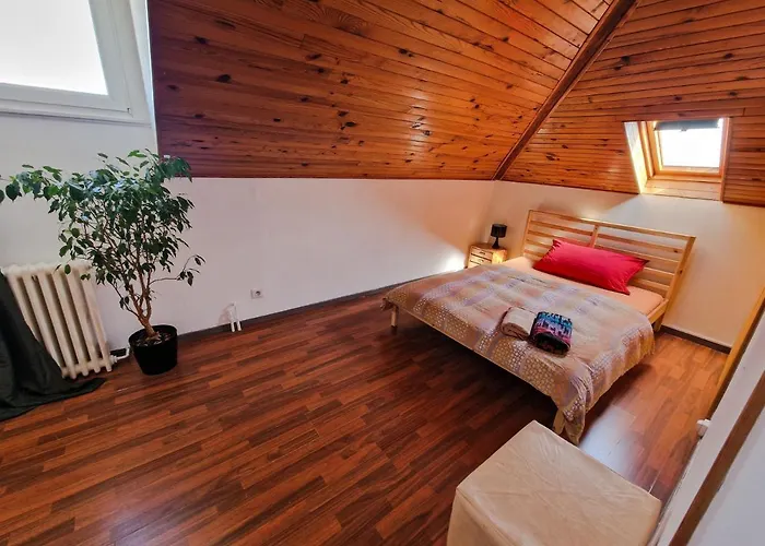 Comfortable Room 4 Minutes Walk To Basel Shared Apartment