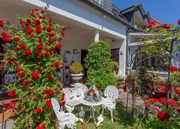 cafesahne u Pension Dranske