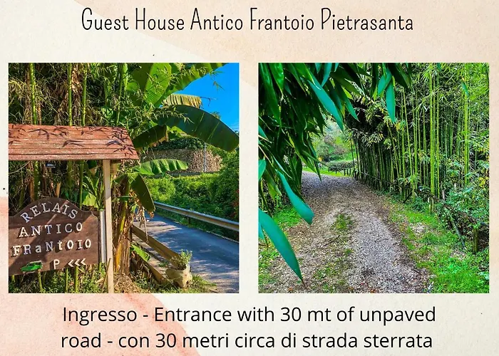 Guest House Antico Frantoio Pietrasanta Affittacamere