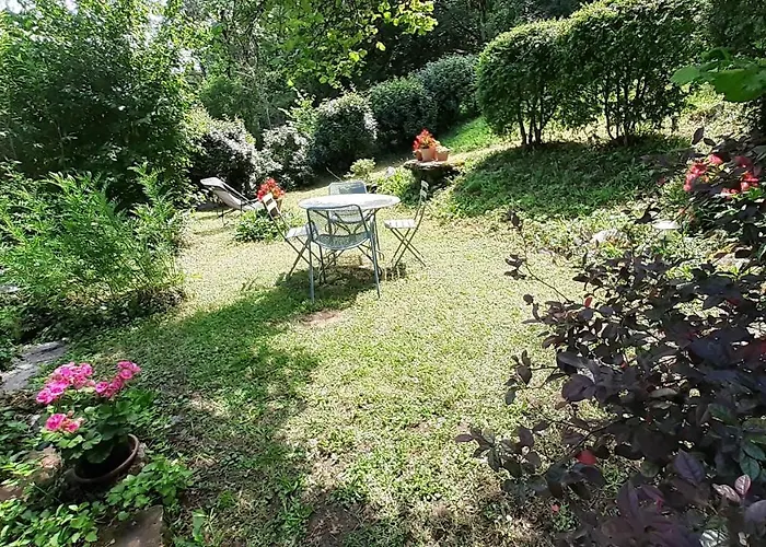 Charme et jardin cœur St Cirq - Appartements Saint-Cirq-Lapopie