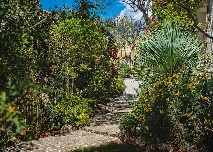 La Bastide de l'Oliveraie