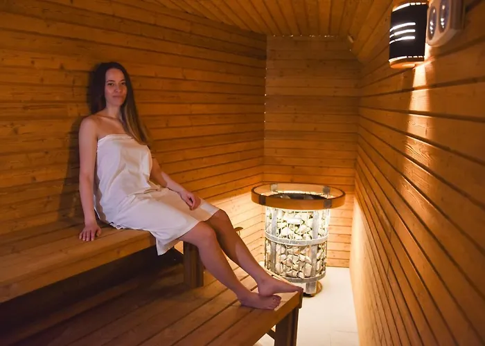 Hotels in Nepomuk (Plzen-South)