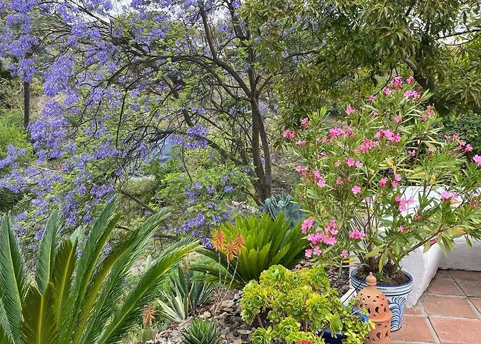 B&B rural El Oasis Almuñécar