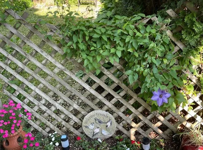 Hillcrest Bed And Breakfast Jim Thorpe