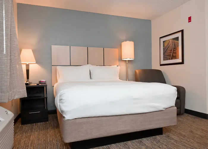Sonesta Simply Suites Clearwater St Petersburg Pinellas Park