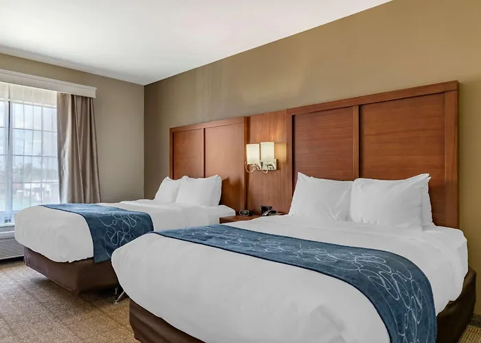 Comfort Suites Buda - Austin South