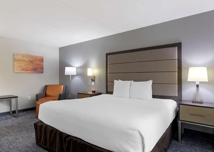 Best Western Plus Mcallen Airport Hotel