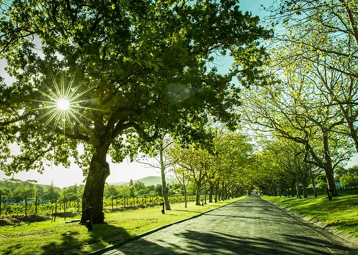 Luxury Hotels in Stellenbosch