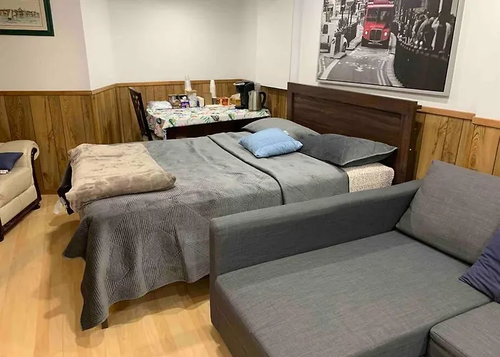 Big Oasis Studio Near Airport Yyz Toronto