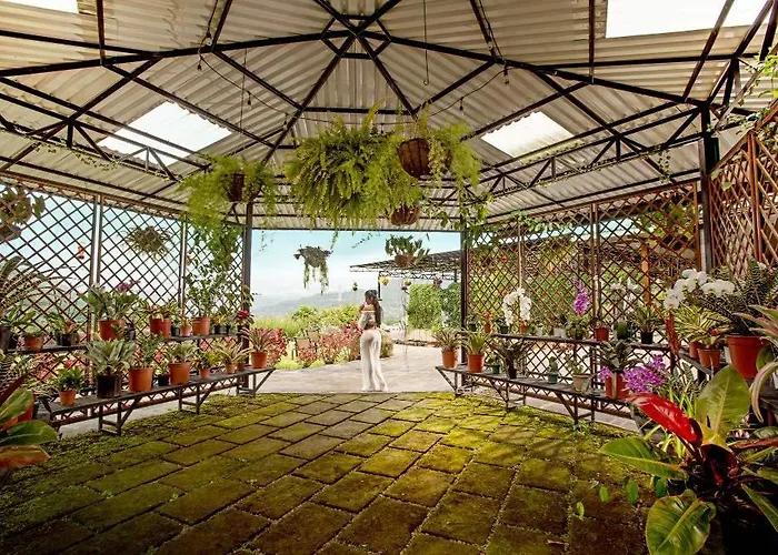 Cartago Hotels