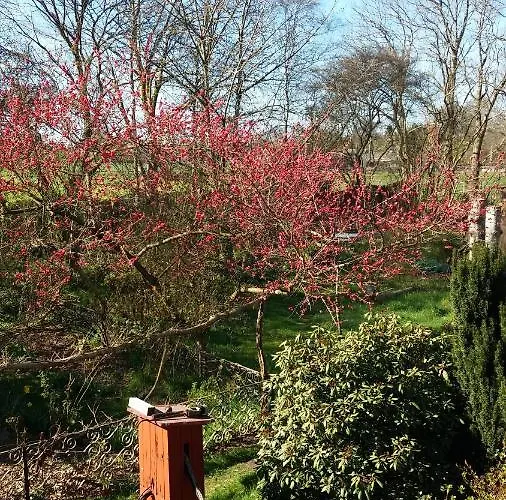 De Geheime Tuin - Uitzicht Bed and Breakfast Epe