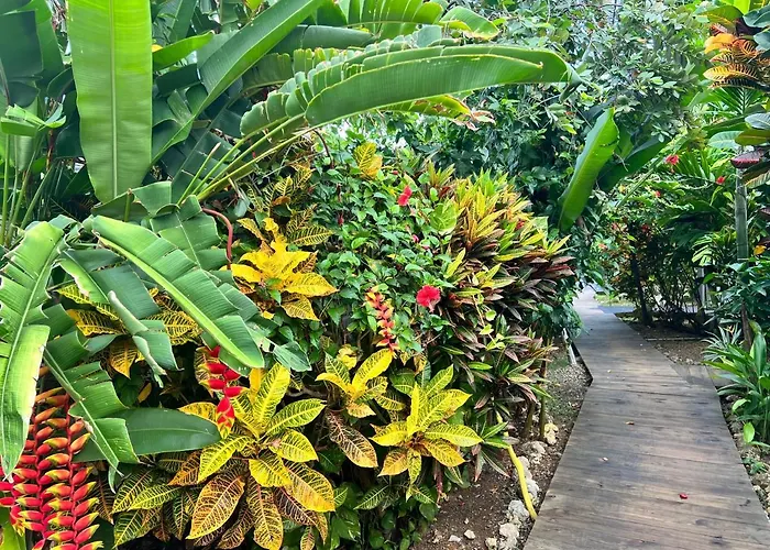 Hôtels à Port Antonio
