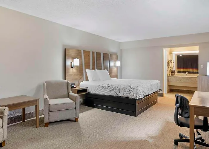 Homosassa Hotels